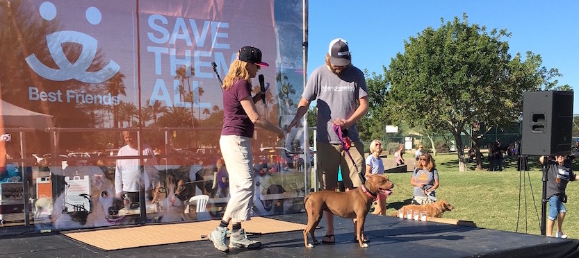 A woman with a microphone and a man accompanied by his dog take center stage at an outdoor event, rallying support for the cause symbolized by the "Save Them All" banner in the background, about advocating for animal welfare.